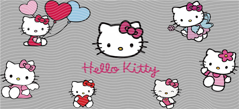 16oz Sanrio-K 290